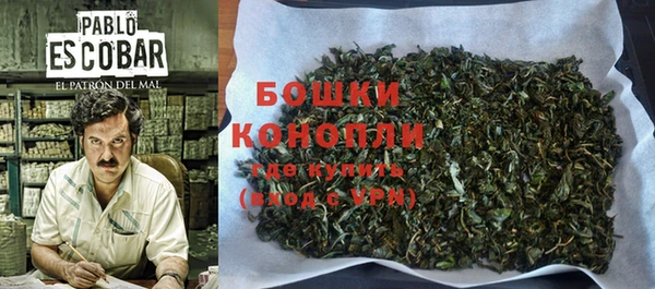 молекула духа Белоозёрский