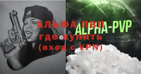 ешки Белокуриха