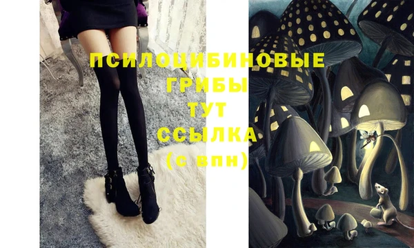 ешки Белокуриха