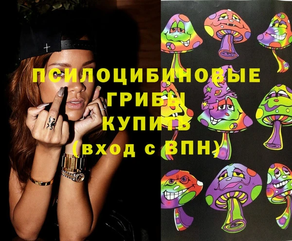 молекула духа Белоозёрский