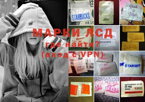 ешки Белокуриха