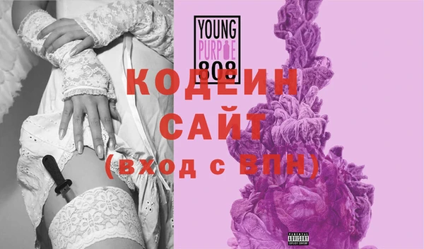 молекула духа Белоозёрский