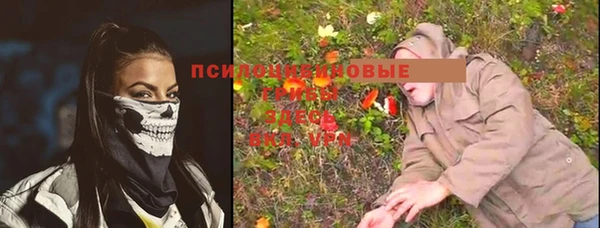 ешки Белокуриха